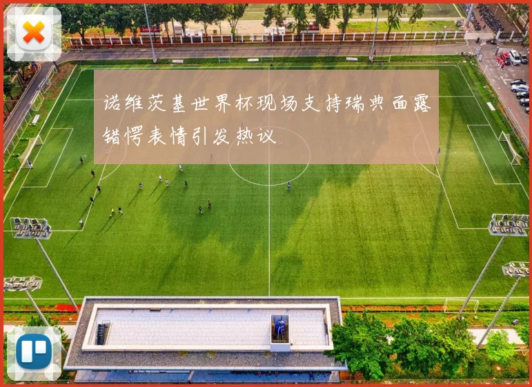 诺维茨基世界杯现场支持瑞典面露错愕表情引发热议