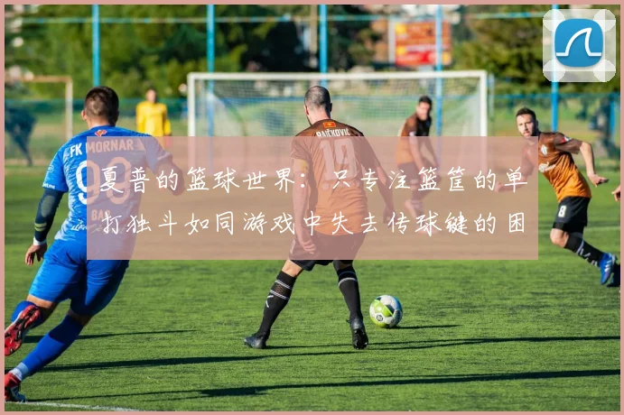 夏普的篮球世界：只专注篮筐的单打独斗如同游戏中失去传球键的困境