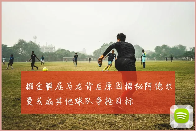 掘金解雇马龙背后原因揭秘阿德尔曼或成其他球队争抢目标