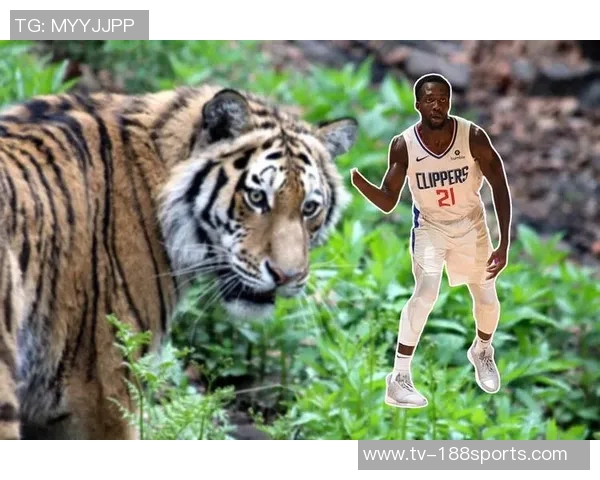 谢泼德分享抢断技巧：凭借本能与传球路线阅读提升防守能力